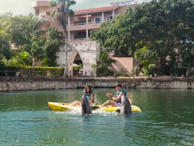 Kayak golfinhos puerto aventuras