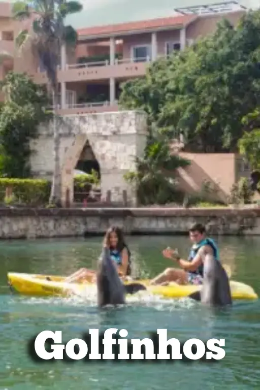 Casal brincando golfinho